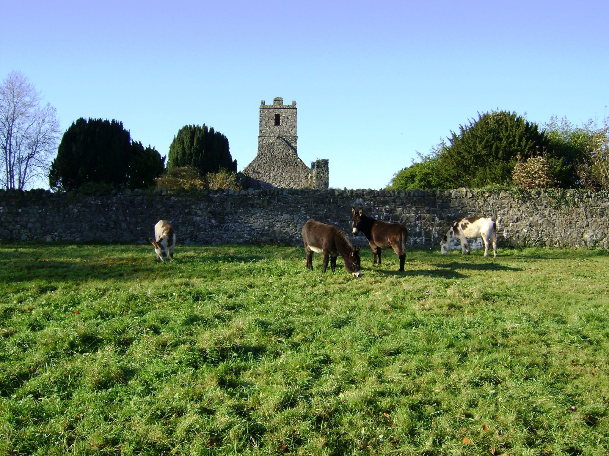 5 Best Broadband Deals NI Compared Including Belfast