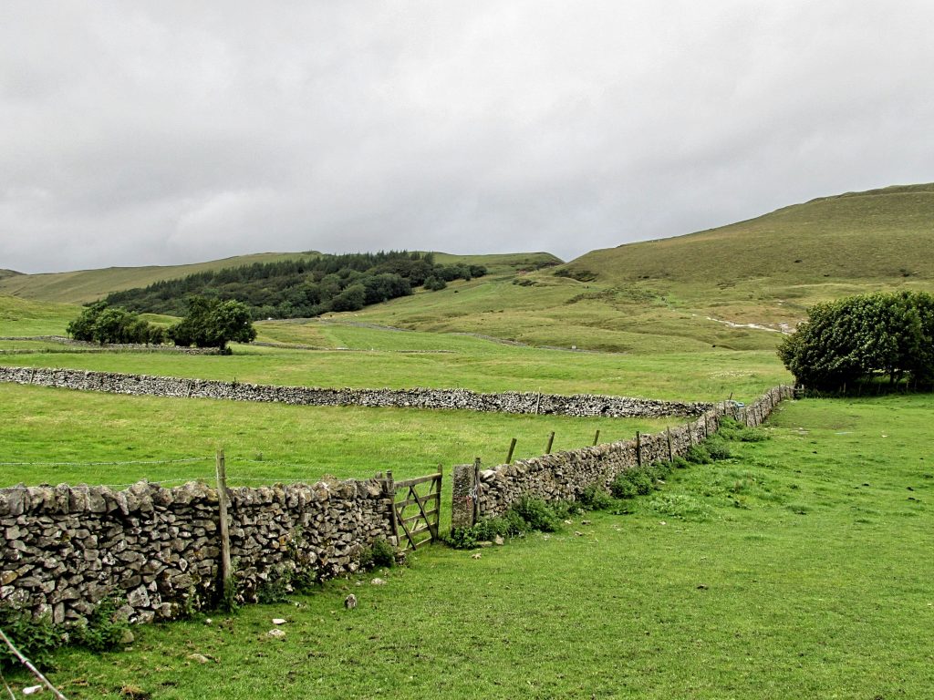 A field in the British countryside.
