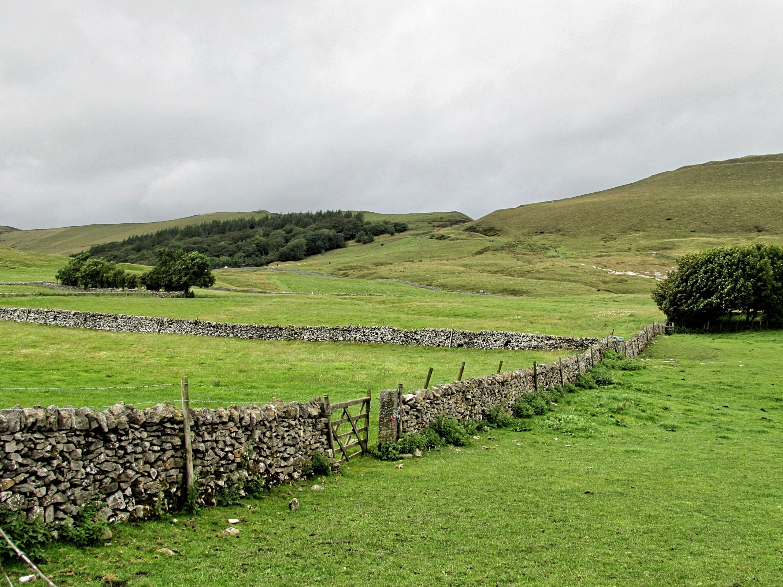 A field in the British countryside.