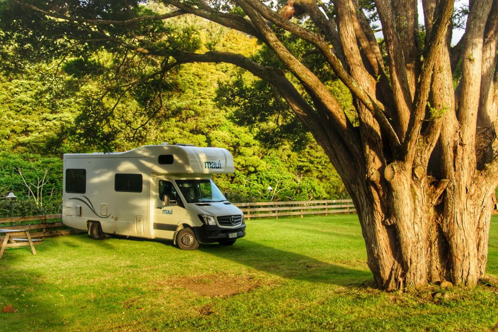 Motorhome by a tree.