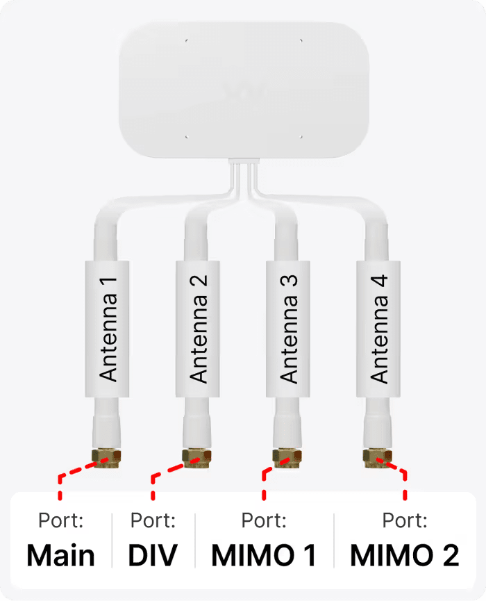 Waveform Quadmini cable guide.