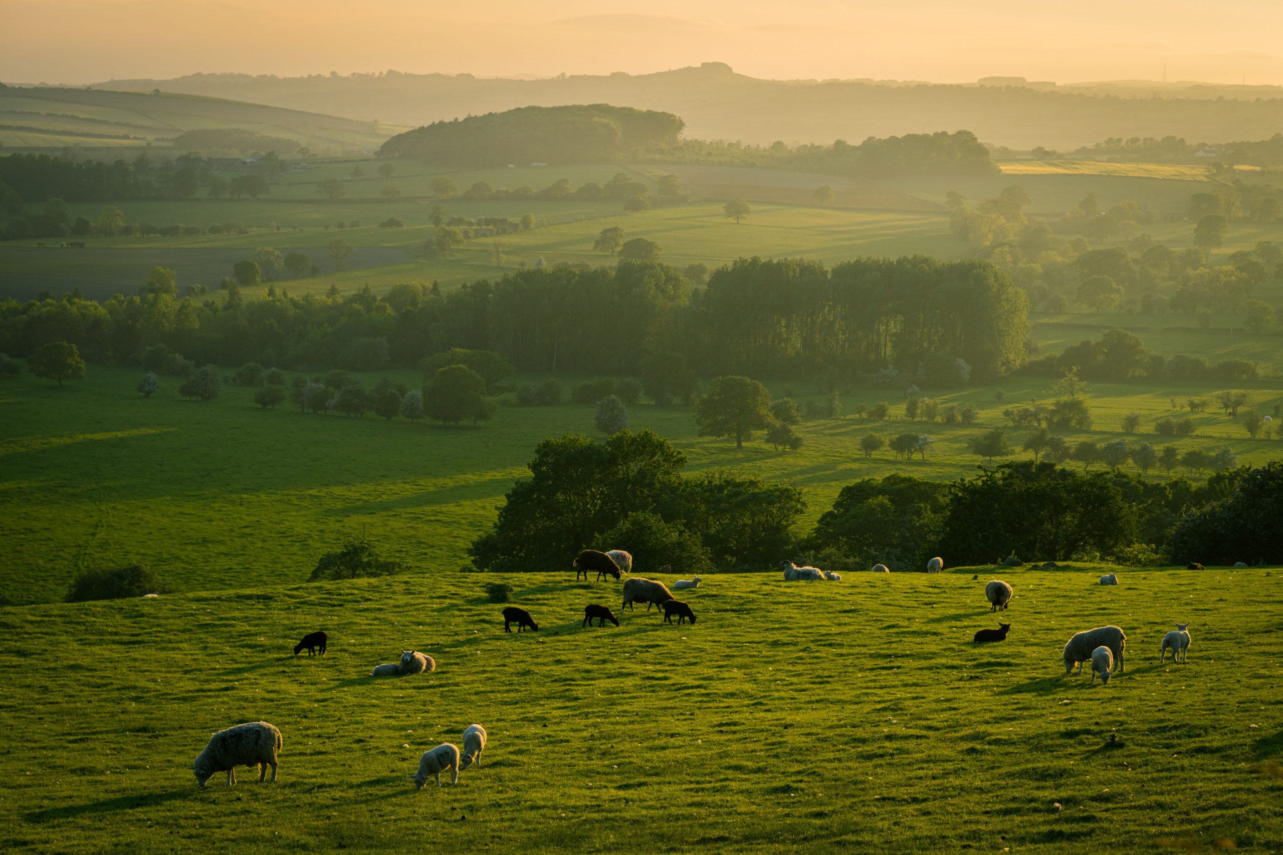 Yorkshire countryside in the UK.